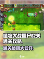 植物大战僵尸杂交版62关🔥通关秘籍💡