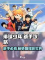 排球少年手游新手攻略介绍