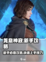 龙息神寂攻略介绍介绍