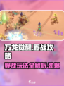 万龙觉醒🔥野战打法全攻略，轻松上分必备！