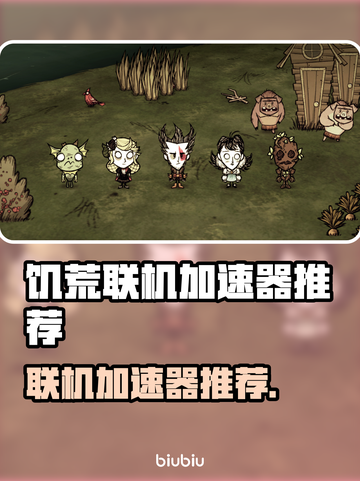 饥荒联机⚡不卡顿，必备加速器推荐！🔥截图1