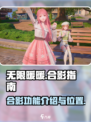无限暖暖合影有什么用介绍