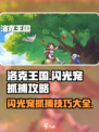 洛克王国世界闪光宠怎么抓介绍