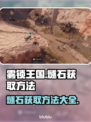 雾锁王国🔥燧石获取全攻略，轻松搞定⚡