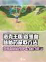 洛克王国🔥首领血脉秘药获取全攻略！🎮