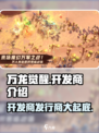 万龙觉醒开发商是谁介绍