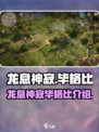 龙息神寂：揭秘毕格比的传奇之旅🔥🎮
