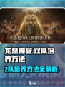 龙息神寂：2队培养秘籍🔥快速上分必备！