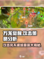 万龙觉醒💥：攻击完不返城的真相揭秘！