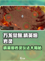万龙觉醒🔥精英熔岩灵玩法大揭秘！