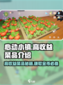 心动小镇🔥高收益菜品大揭秘！💰