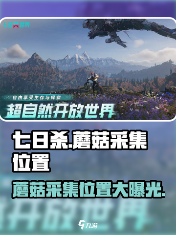 七日世界蘑菇在哪采集介绍截图1