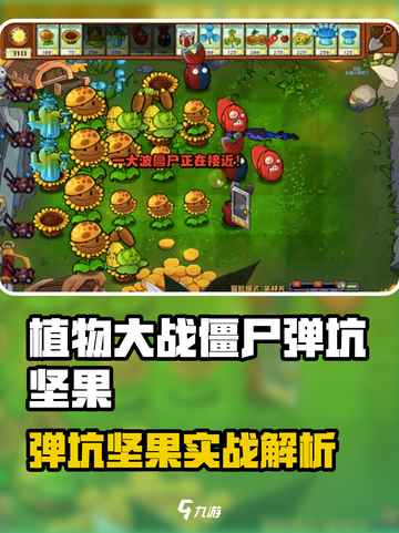 🎮植物大战僵尸弹坑坚果太强了！💥截图1