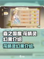 森之国度花精灵🔥幻果爆料：玩就对了！