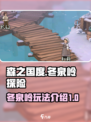森之国度冬泉岭怎么玩介绍