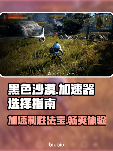 黑色沙漠🔥加速器选择攻略✅哪个好用到爆！截图1