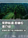 荒野起源密林在哪介绍