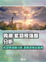鸣潮🔥紫羽鹭强度分析💥超详细解析来啦！