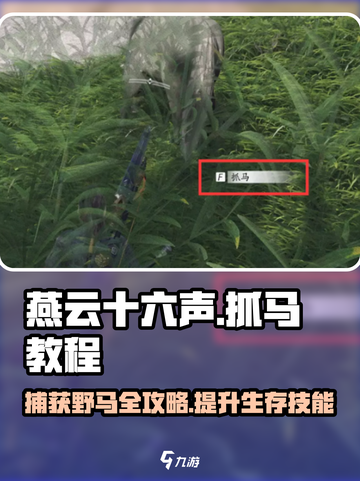 燕云十六声🔥抓马教程：快速捕获坐骑马匹的秘密武器！截图1