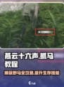 燕云十六声🔥抓马教程：快速捕获坐骑马匹的秘密武器！
