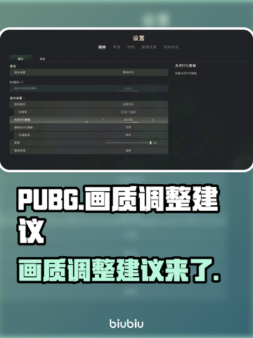 PUBG画质调整🔥让你瞬间吃鸡！💡截图1