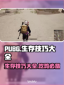 PUBG吃鸡必看！生存技巧大公开💥🔥