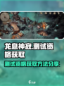 🔥《龙息神寂》测试资格获取秘籍💡