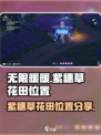 无限暖暖紫穗草花田在哪介绍