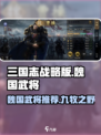 九牧之野魏国武将推荐介绍
