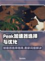 🎮Peak加速器闪退黑屏？选对加速器太关键！