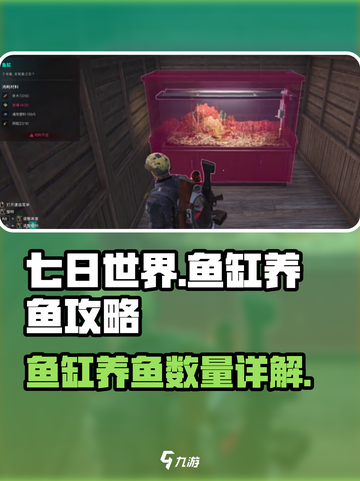 七日世界鱼缸可以放多少鱼介绍截图1