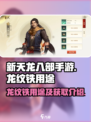 新天龙八部手游龙纹铁怎么用介绍