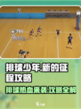 排球少年新的征程攻略分享介绍
