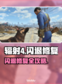 🎮辐射4闪退？一招解决！💥