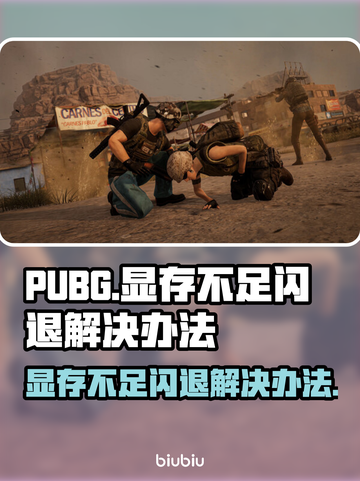 PUBG显存不足闪退？内存优化攻略来啦！💥🎮截图1