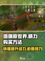 塔瑞斯世界🔥精力购买攻略💎