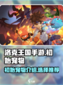 洛克王国手游初始宠物有哪些介绍