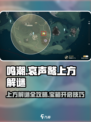 鸣潮✨：哀声鹫上方宝箱解谜全攻略！