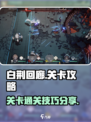 白荆回廊关卡攻略介绍
