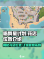 唱舞星计划花店在哪介绍