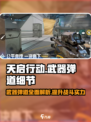天启行动武器弹道大揭秘💥，游戏玩家必看！
