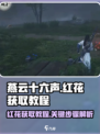 燕云十六声红花怎么获得介绍