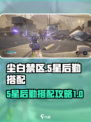 尘白禁区5星后勤搭配攻略介绍
