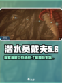 潜水员戴夫巨奇虾介绍介绍