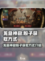 龙息神寂骰子怎么获得介绍