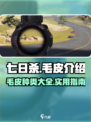 七日世界毛皮介绍介绍