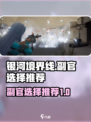 银河境界线副官选择谁介绍