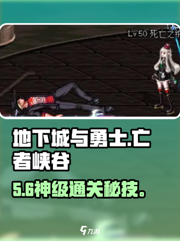 DNF手游亡者峡谷通关秘籍🔥截图1