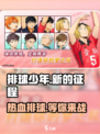 排球少年新的征程好玩吗介绍