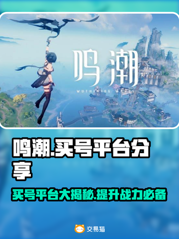 鸣潮买号平台大揭秘！🔥安全又快捷，玩家必看✨截图1